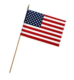 Valley Forge Stick Flag