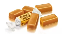 Werther's Original Chewy Caramels -Home Goods Sales Store 19880114 2 3