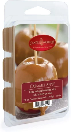 Candle Warmers Wax Melts, 2.5oz -Home Goods Sales Store 49460242