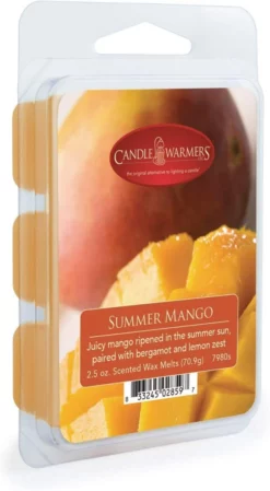 Candle Warmers Wax Melts, 2.5oz -Home Goods Sales Store 49460602