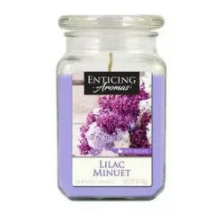 Empire Candles Enticing Aromas Collection, 16oz -Home Goods Sales Store 56827052