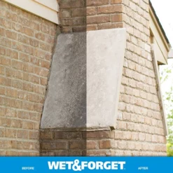 Wet & Forget 800006 Moss, Mold, Mildew and Algae Stain Remover Concentrate – 1 Gallon -Home Goods Sales Store 800006 3