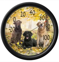 Taylor 13.25" Thermometer -Home Goods Sales Store labrador 1